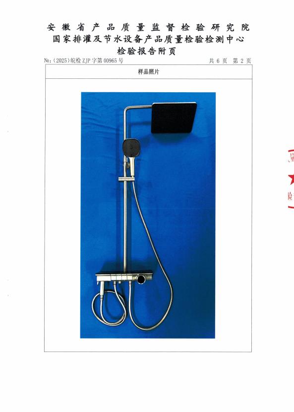 检测报告图片