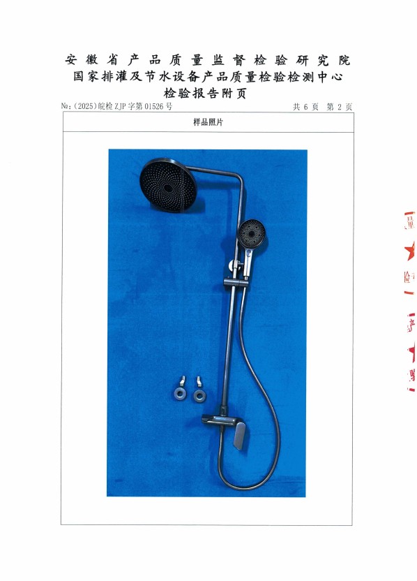 检测报告图片