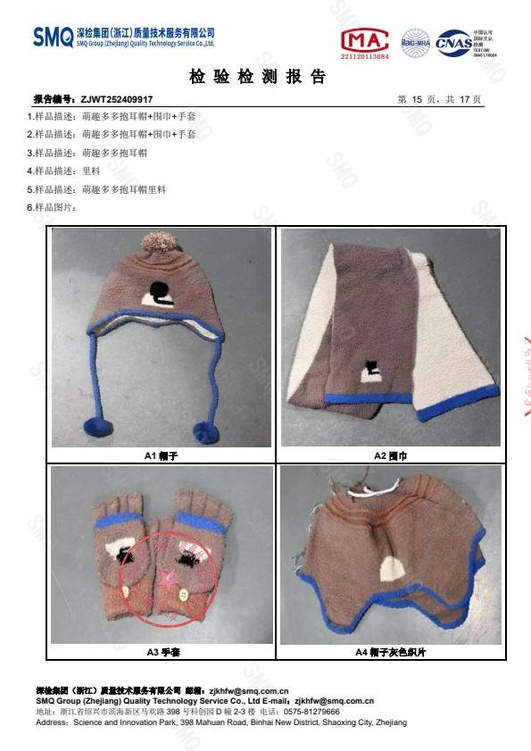 检测报告图片