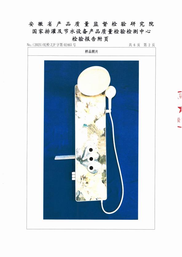 检测报告图片