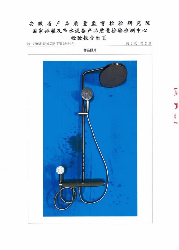 检测报告图片