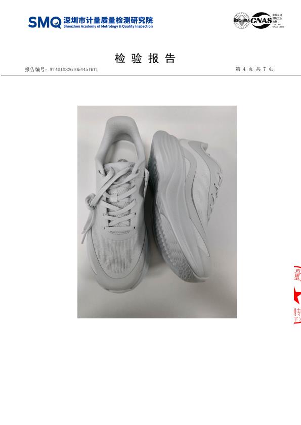 检测报告图片