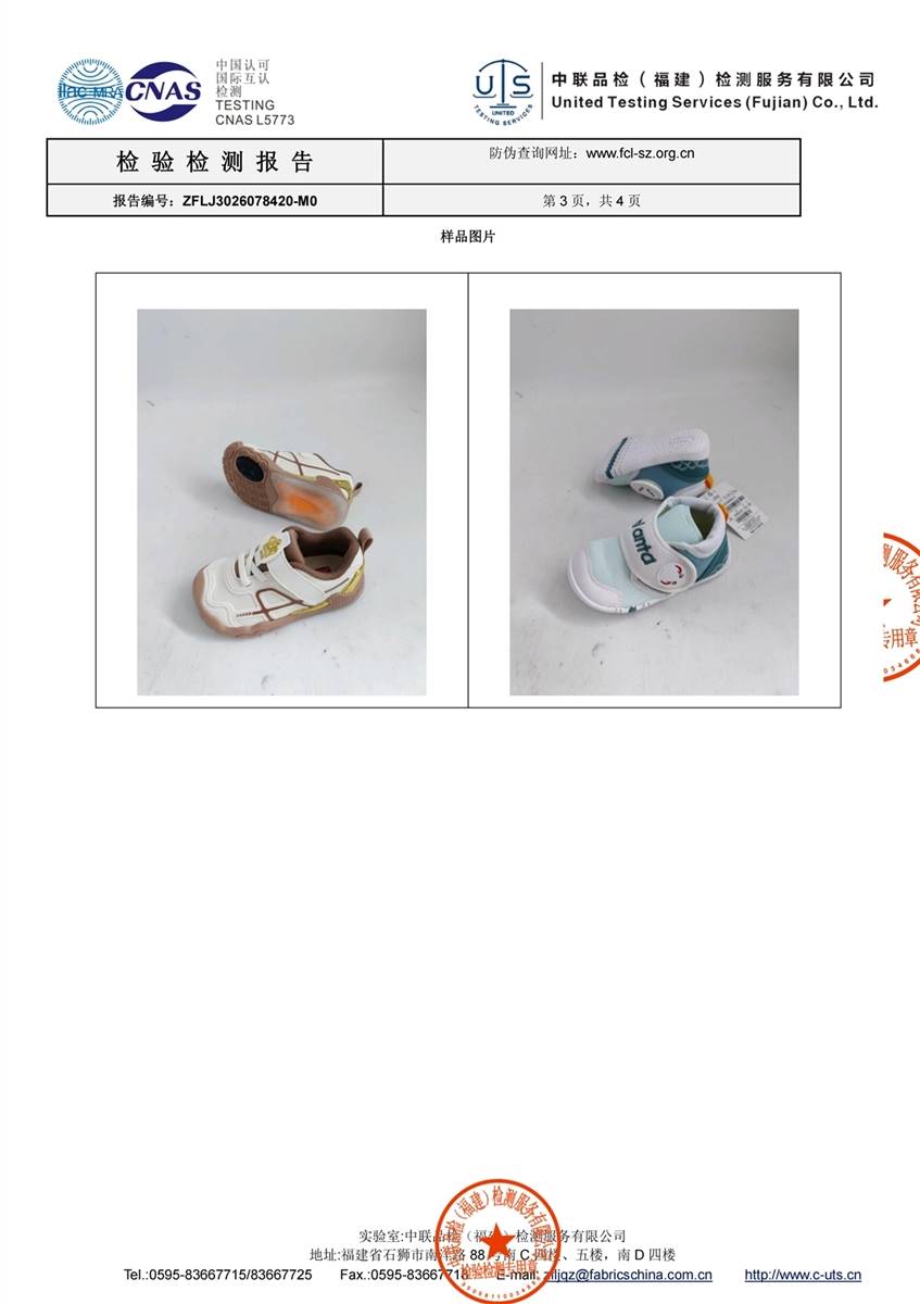 检测报告图片