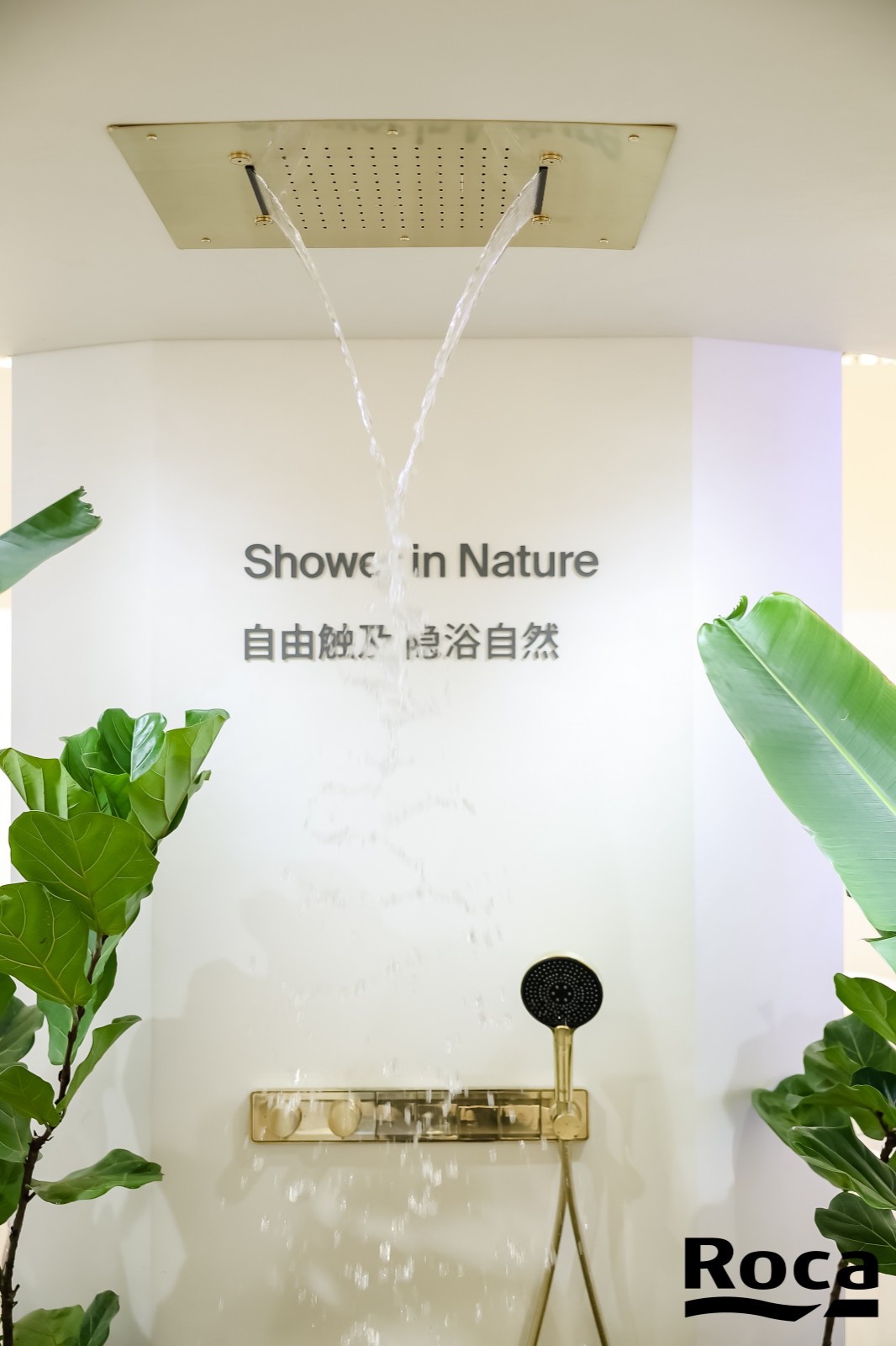 活水区域.jpg 活水区域.jpg
